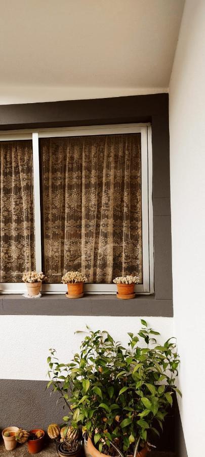 Casa Da Avo Rosa Apartment Sao Vicente  Ngoại thất bức ảnh