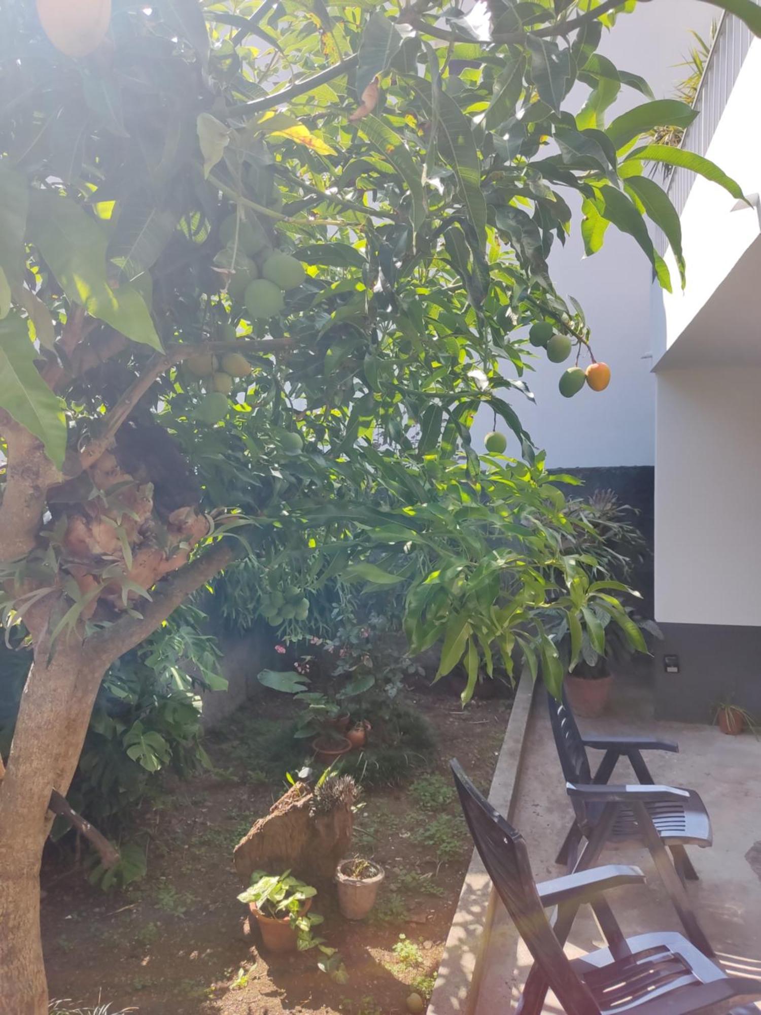 Casa Da Avo Rosa Apartment Sao Vicente  Ngoại thất bức ảnh